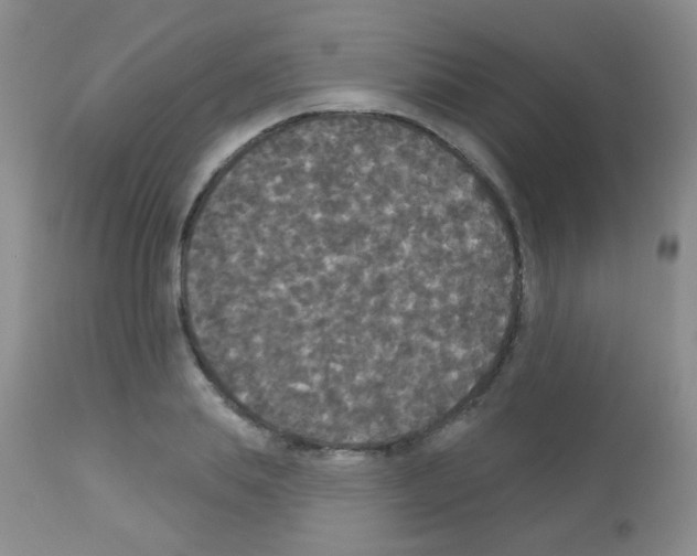 X0000113080839200910091230