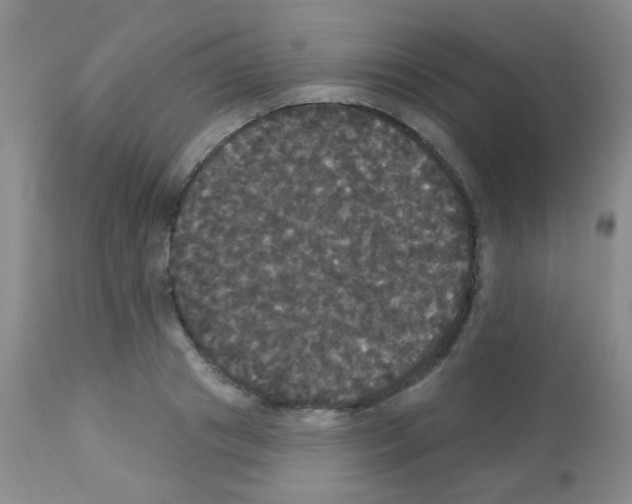 X0000113080841200910091230