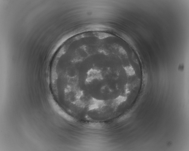 X0000113080843200910091230