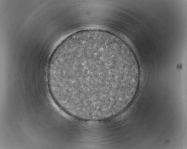 X0000113080847200910091230