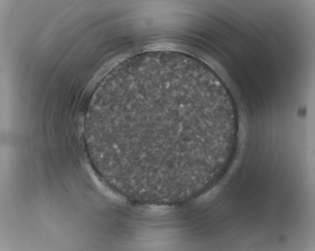 X0000113080849200910091230