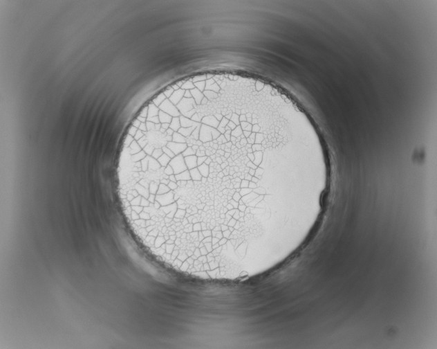 X0000113080850200910091230