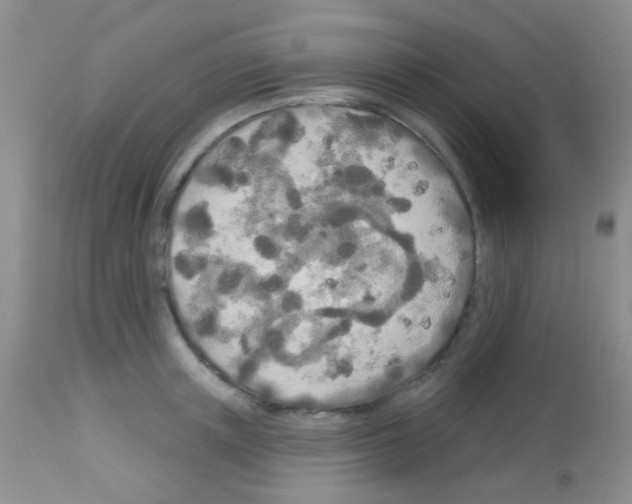 X0000113080851200910091230