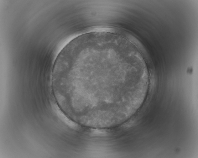 X0000113080852200910091230