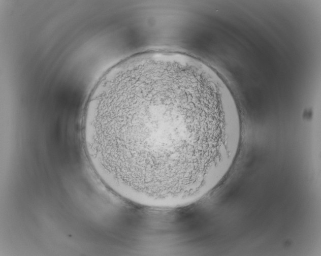 X0000113080856200910091230