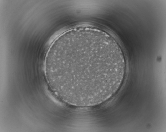 X0000113080858200910091230