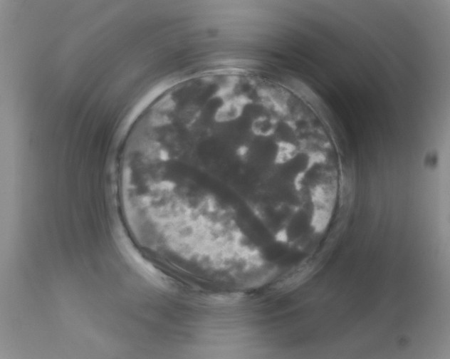 X0000113080859200910091230