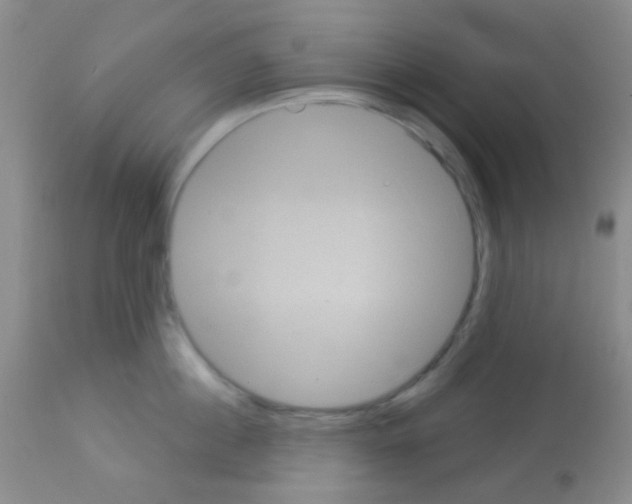 X0000113080860200910091230