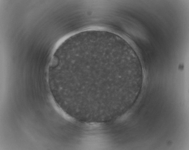 X0000113080862200910091230
