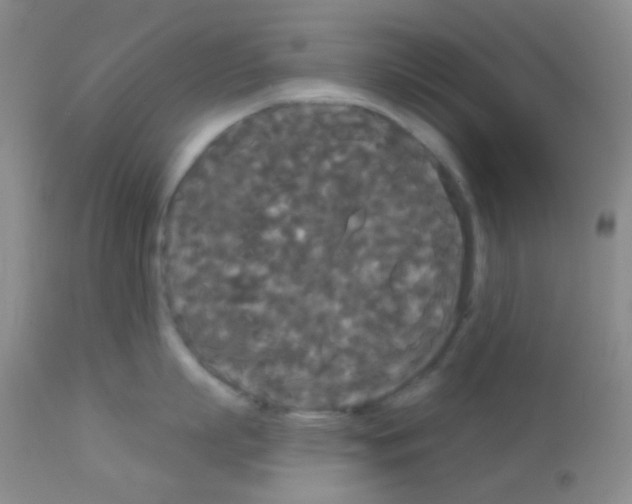 X0000113080863200910091230
