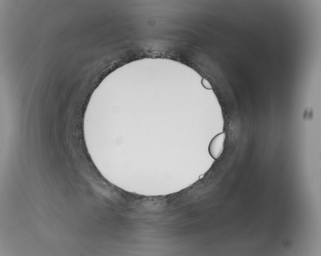 X0000113080865200910091229