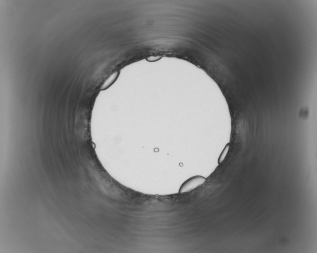X0000113080868200910091229