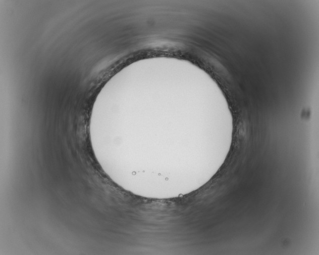 X0000113080869200910091229