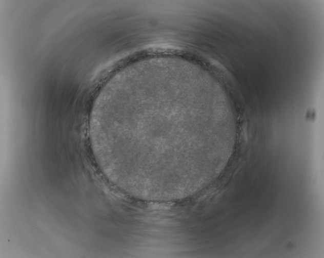 X0000113080870200910091229
