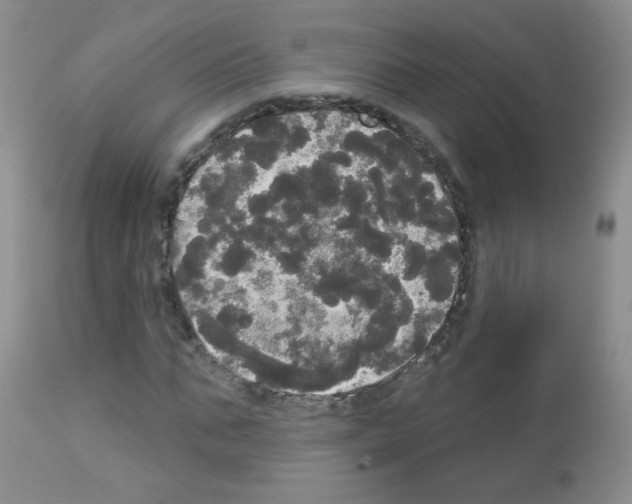 X0000113080871200910091229