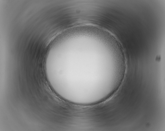 X0000113080873200910091229