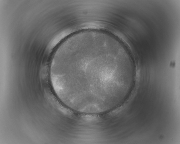 X0000113080874200910091229