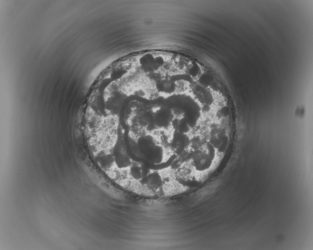 X0000113080875200910091229