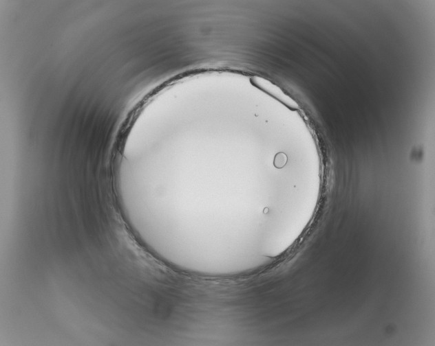 X0000113080876200910091229