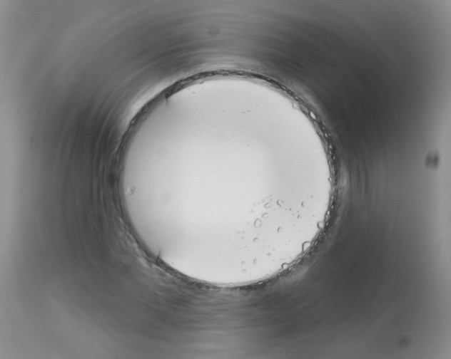 X0000113080877200910091229