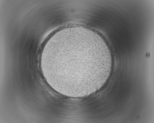 X0000113080878200910091229