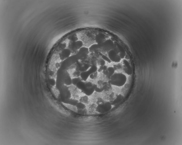 X0000113080879200910091229