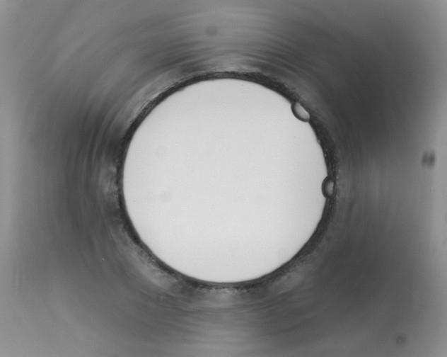 X0000113080881200910091229