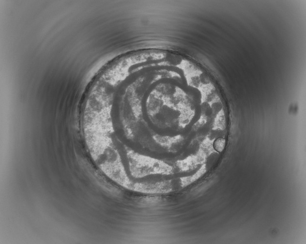 X0000113080883200910091229