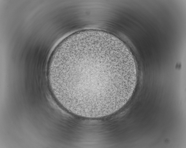 X0000113080884200910091229