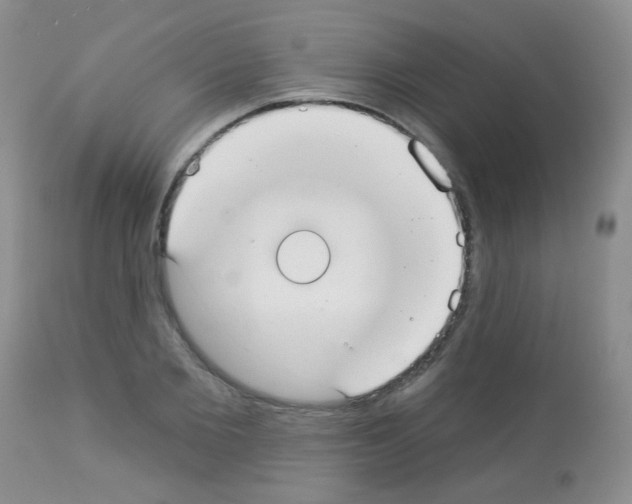 X0000113080885200910091229