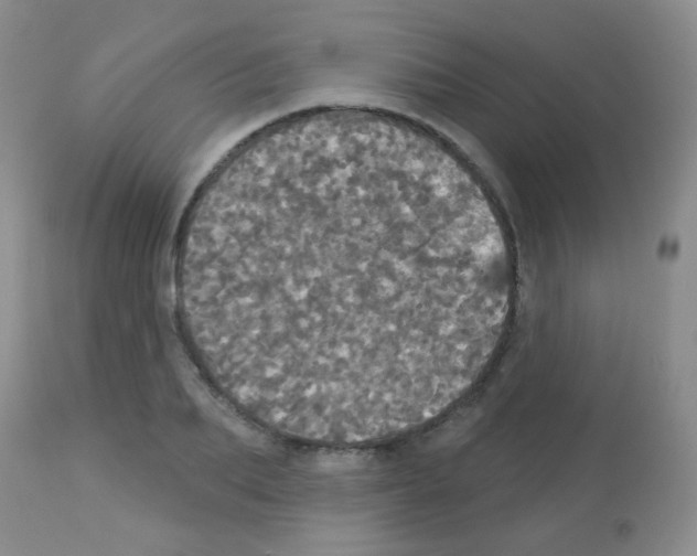 X0000113080887200910091229
