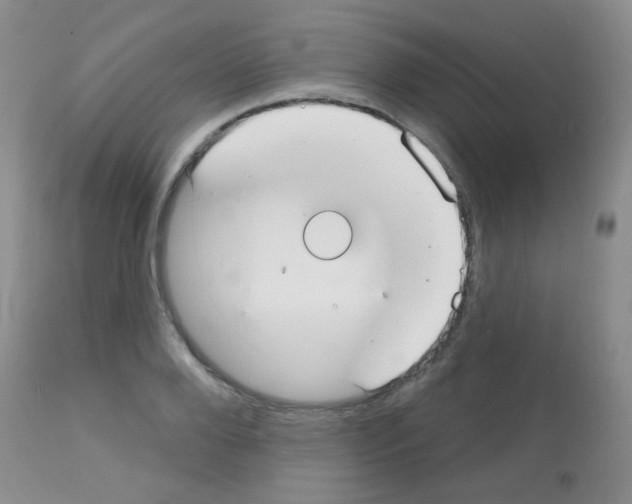 X0000113080888200910091229