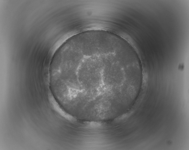 X0000113080890200910091229