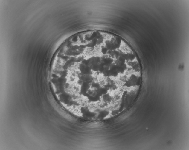 X0000113080891200910091229