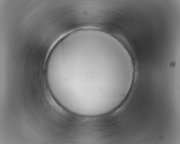 X0000113080892200910091229