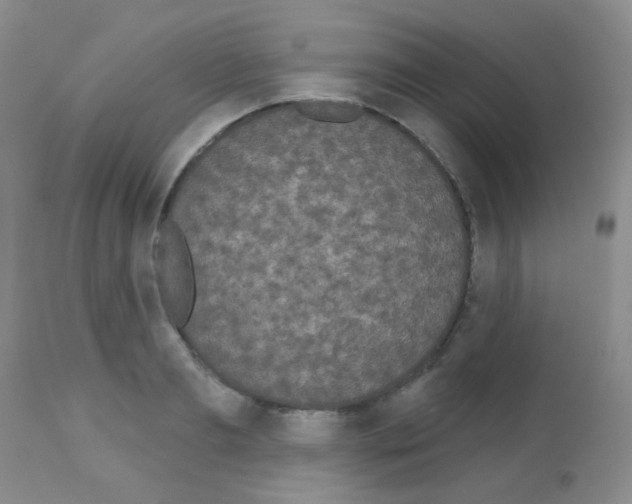 X0000113080893200910091229