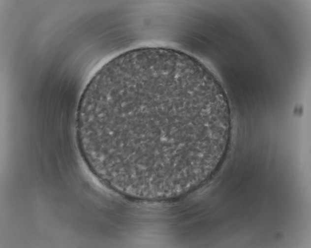 X0000113080895200910091229