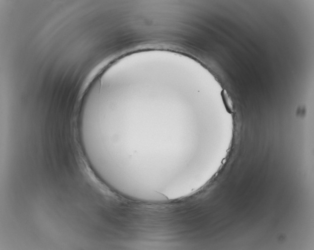 X0000113080896200910091229