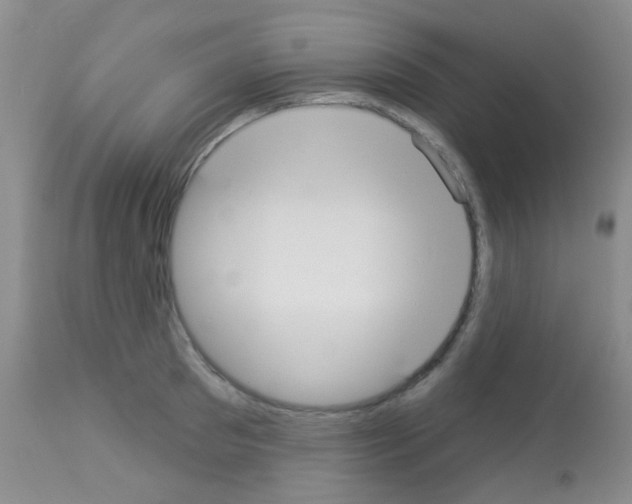 X0000113080897200910091229