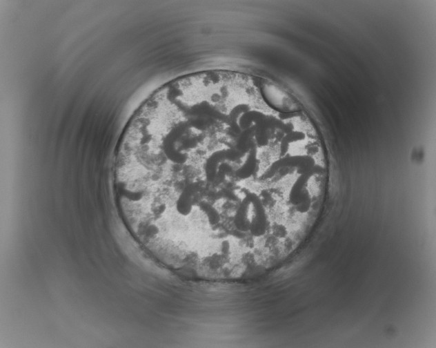 X0000113080899200910091229