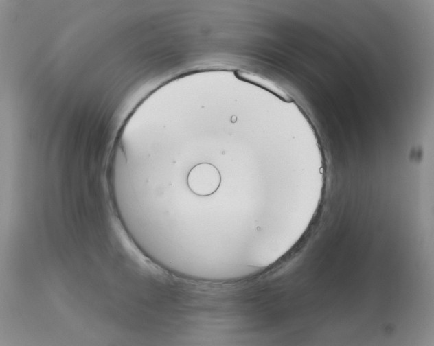 X0000113080901200910091229