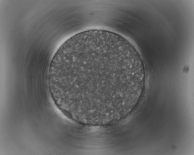 X0000113080903200910091229