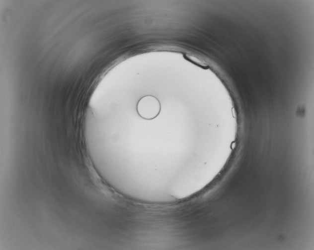 X0000113080905200910091229