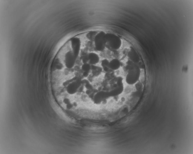 X0000113080907200910091229