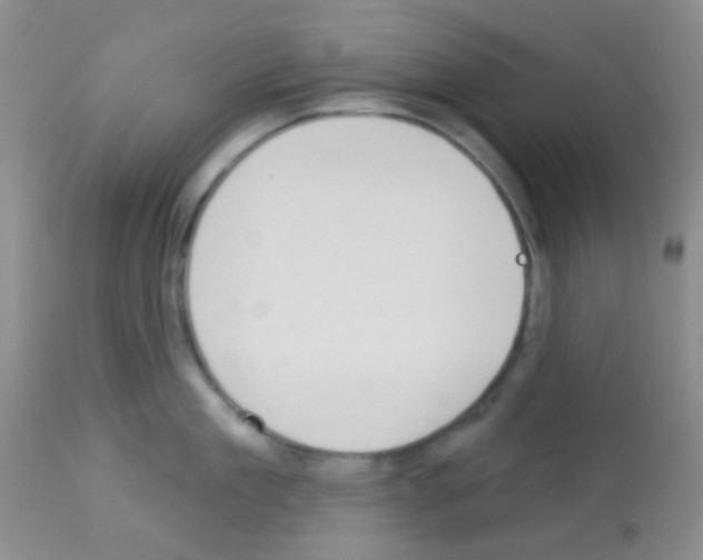 X0000113080909200910091229