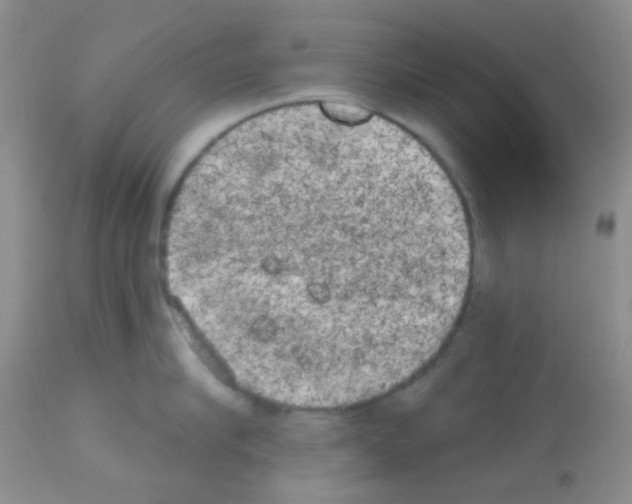 X0000113080910200910091229