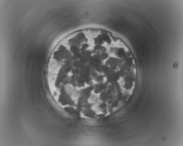 X0000113080911200910091229