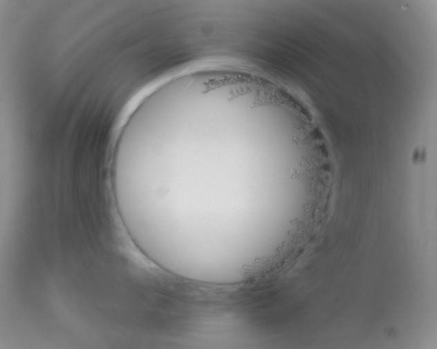 X0000113080912200910091229