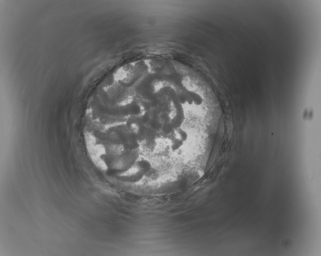 X0000113080913200910091228
