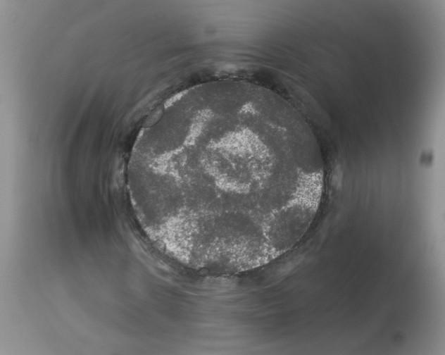 X0000113080914200910091228